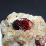 Zircon
25x20 mm
(Autor: Ignacio)