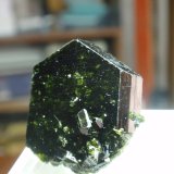 Epidota
25x25 mm
(Autor: Ignacio)
