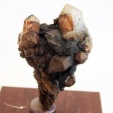 Cuarzo
5 x 2,5 cm
(Autor: Pedro Antonio)