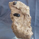Cuarzo (variedad morión)
10 x 4 cm.
(Autor: Pedro Antonio)