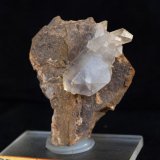 Celestina
Largo 3.5 cm.
(Autor: Pedro Antonio)