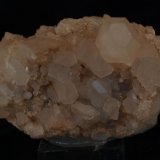 Celestina
9 cm. x 6 cm.
(Autor: Pedro Antonio)