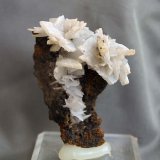Baritina
5,5 x 5 cm.
(Autor: Pedro Antonio)
