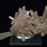 Celestina
10 x 6 cm.
(Autor: Pedro Antonio)