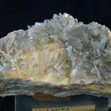 Celestina
9 x 5 cm.
(Autor: Pedro Antonio)