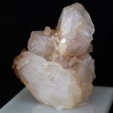 Celestina
5,5 x 3,5 cm.
(Autor: Pedro Antonio)
