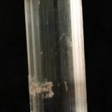 Yeso
9 x 3,5 cm
(Autor: Pedro Antonio)