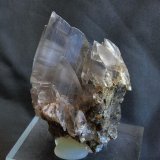 Yeso
7 x 4.5 cm.
(Autor: Pedro Antonio)