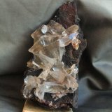 Yeso
12 x 6 cm.
(Autor: Pedro Antonio)