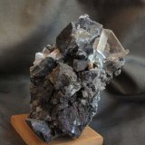 Yeso
9 x 5.5 cm.
(Autor: Pedro Antonio)