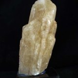 Celestina
10 x 5 cm
(Autor: Pedro Antonio)