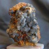Celestina
8 x 6 cm.
(Autor: Pedro Antonio)