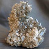 Celestina
6,5 x 8 cm
(Autor: Pedro Antonio)