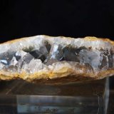 Celestina
7,5 x 2,5 cm
(Autor: Pedro Antonio)