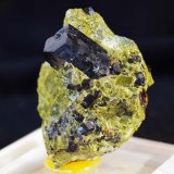 Granate
4,5 x 3,5
(Autor: Pedro Antonio)