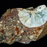 Prehnita
10 x 5,5 cm.
(Autor: Pedro Antonio)