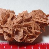 Yeso
8x5 cm.
(Autor: Ignacio)