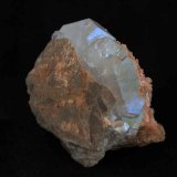 Celestina
5 x 4,5 cm
(Autor: Pedro Antonio)