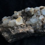 Celestina
10 x 5 cm
(Autor: Pedro Antonio)