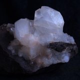 Celestina
7 x 6 cm.
(Autor: Pedro Antonio)