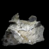 Yeso
90 x 80 mm
(Autor: Jesus Franquesa Baucells)