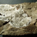 Celestina
10,5 x 7, 5 cm
(Autor: Frederic Varela)
