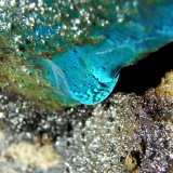 Calcantita
Ancho en el plano de enfoque 2cm
(Autor: Eloi)