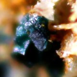 Paratacamita
24 x 19 x 8 mm
(Autor: José Luis Zamora)