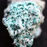 Paratacamita
18 x 12 x10 mm
(Autor: José Luis Zamora)