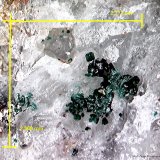 Paratacamita.
2´773 x 2´568 mm.
(Autor: Jesus Franquesa Baucells)
