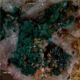 Paratacamita.
4´354 x 3´986 mm.
(Autor: Jesus Franquesa Baucells)