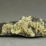 Paravauxita
45x15x15 mm
(Autor: Juan Espino)