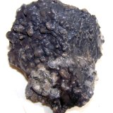 Aragonito (variedad pelagosita)
8cm por 6cm
(Autor: canada)