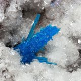 Pentagonita
cristal 20mm
(Autor: Ramon A  Lopez Garcia)