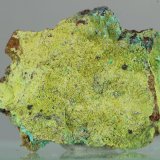 Perita
26x21 mm
(Autor: Juan Espino)