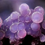 Phosphosiderita
fov 2.2 mm
(Autor: Foro FMF)