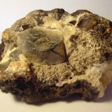 Galena
Cristal de 3 cm
(Autor: Joaquin Montoro)