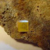 Wulfenita
Cristal de 7x7 mm.
(Autor: Joaquin Montoro)