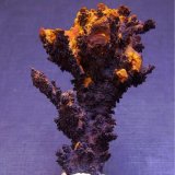 Goethita
5 x 3,5 cm.
(Autor: Antonio Alcaide)