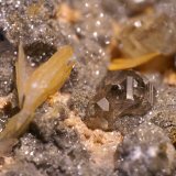 Baritina y Cerusita
Foto 2 cm ancho
(Autor: chatero15)