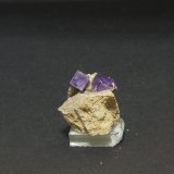 Fluorita
38x42mm. Cristal mayor: 12x9mm
(Autor: joaquin gar)