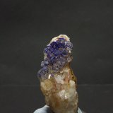 Azurita sobre Calcita
50x24mm
(Autor: joaquin gar)