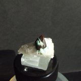 Tetraedrita
35x28mm.  Arista Cristal: 13mm
(Autor: joaquin gar)