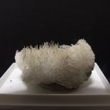 Yeso
45x30x20mm
(Autor: joaquin gar)