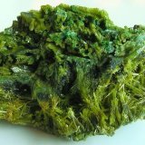 Piromorfita
Tamaño de la pieza 12.8 x 5.8 x 7.6 cm, con cristales hasta 2 cm., y cristales palmeados hasta 2,5 cm.
(Autor: Nacho)