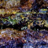 Piromorfita.
3´283 x 0´93 mm.
(Autor: Jesus Franquesa Baucells)