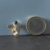 Pirita
10 x 20 x 10 mm.
(Autor: Inushin)