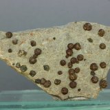 Pirita
69x36x07 mm
(Autor: Juan Espino)