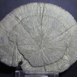 PIRITA
80 x 65
(Autor: Joaquin Blanco Cortina)