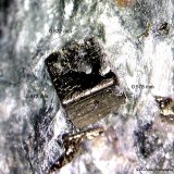 Pirita.
0´822 x 0´672 x 0´578 mm.
(Autor: Jesus Franquesa Baucells)